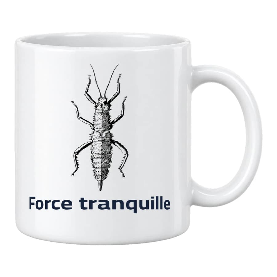 Mug — Phasme · Cabinet de curiosités